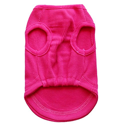 Petall slogan vest closeup shows heart sequin design for tiny dogs