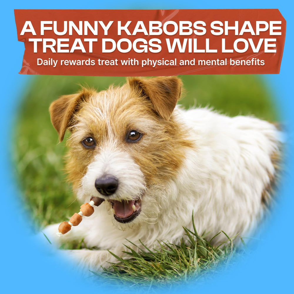 PETPHABET brochetas sabor queso, snack suave para perros sensibles.