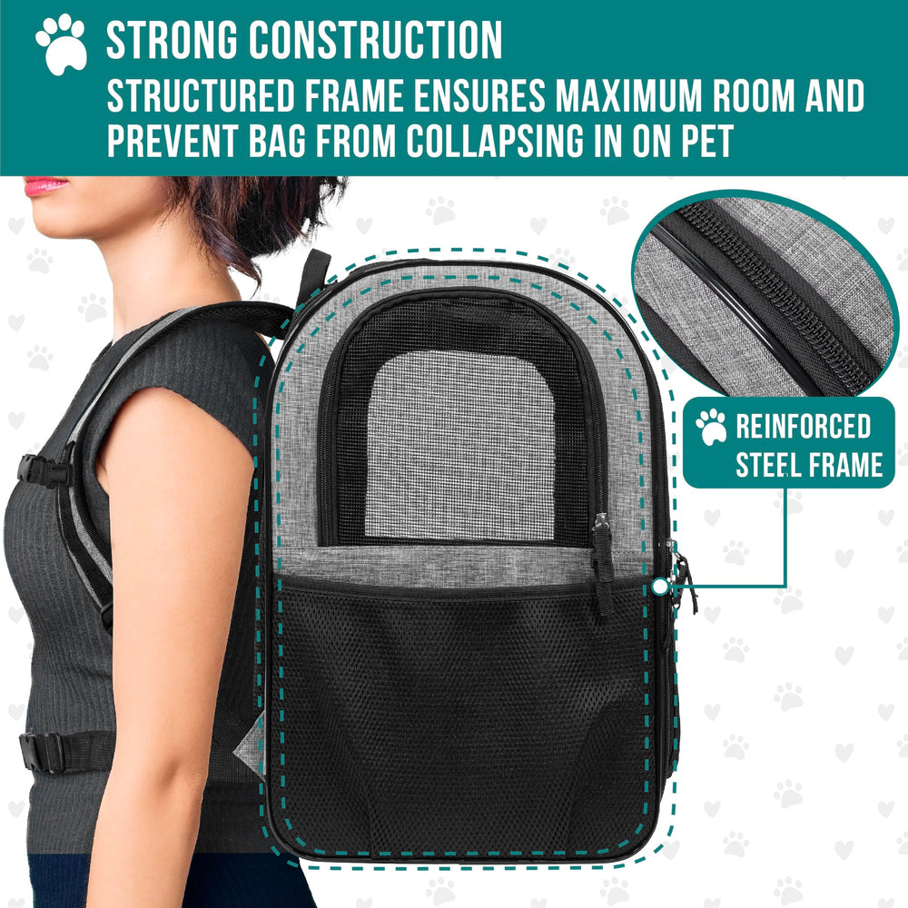 PetAmi backpack with padded shoulder straps for long hikes and daily errands.