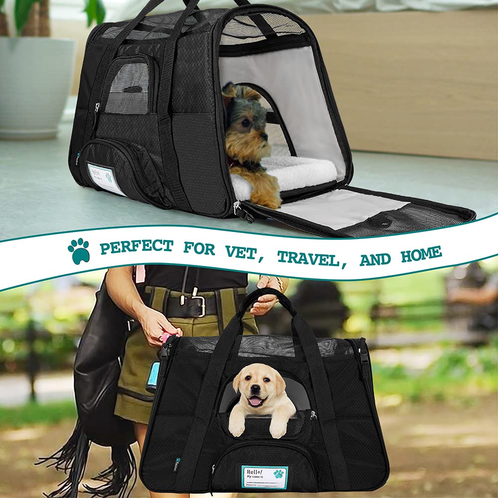 PetAmi carrier with car seat belt loops for secure road trips