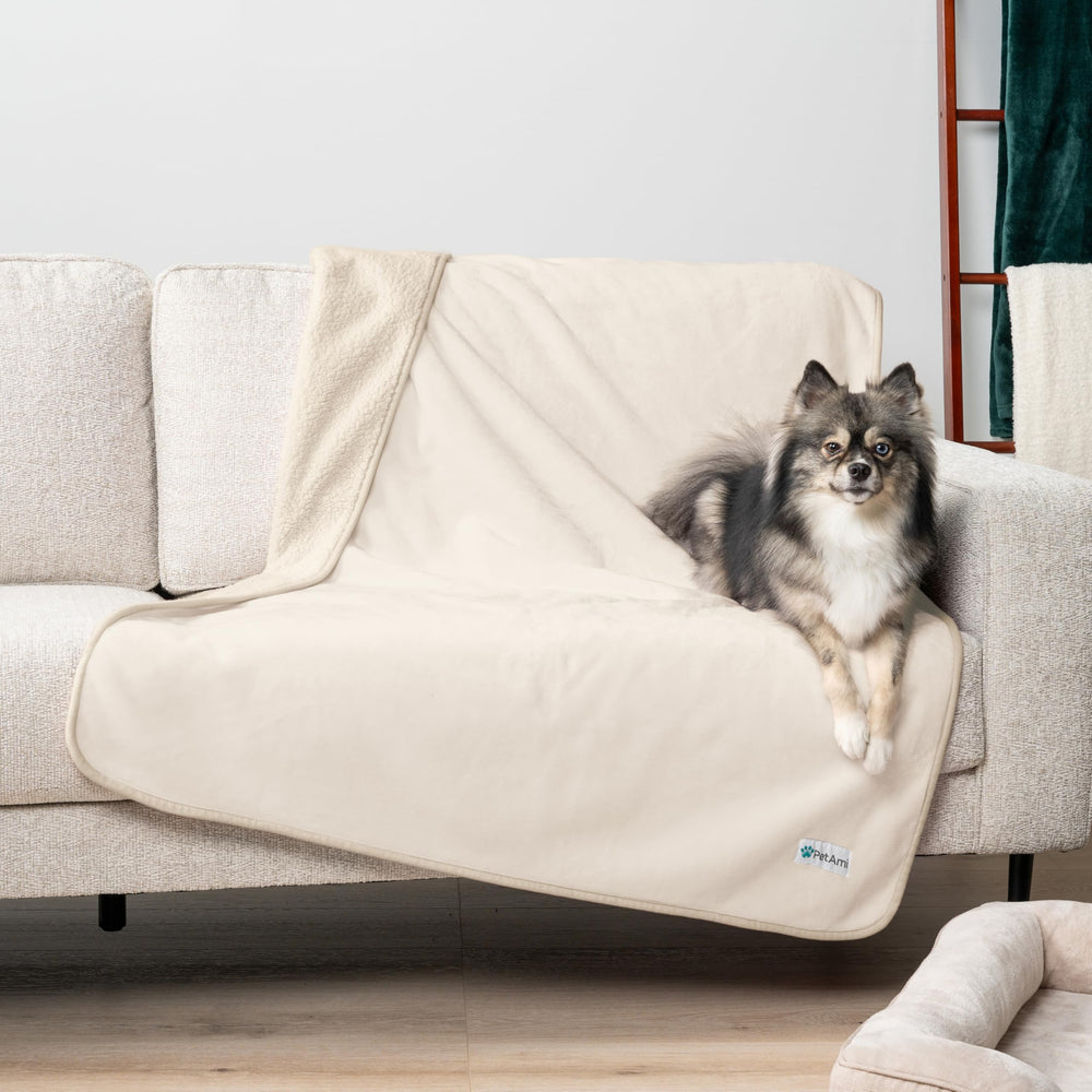 PetAmi edge-stitching adds durability for scratching and daily use.