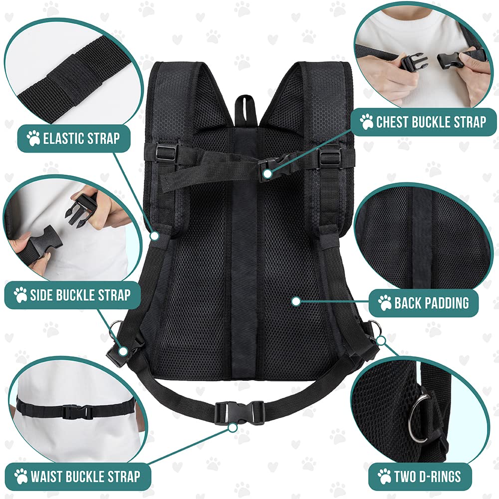 PetAmi adjustable expandable carrier with extra foam for comfort.