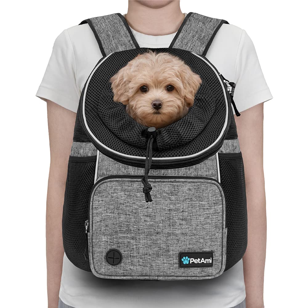 PetAmi front carrier in use with a dog for hands-free hiking or city trips