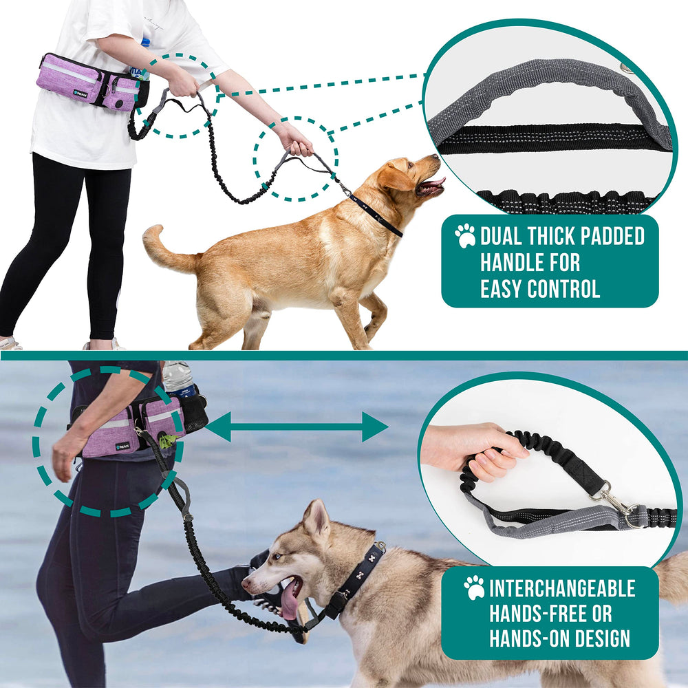 PetAmi adjustable waist belt fits 28 to 52 inches securely.