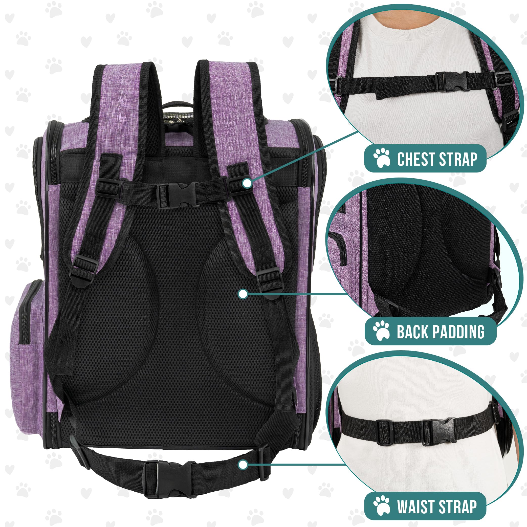 PetAmi padded back straps and chest buckle for comfortable carrying