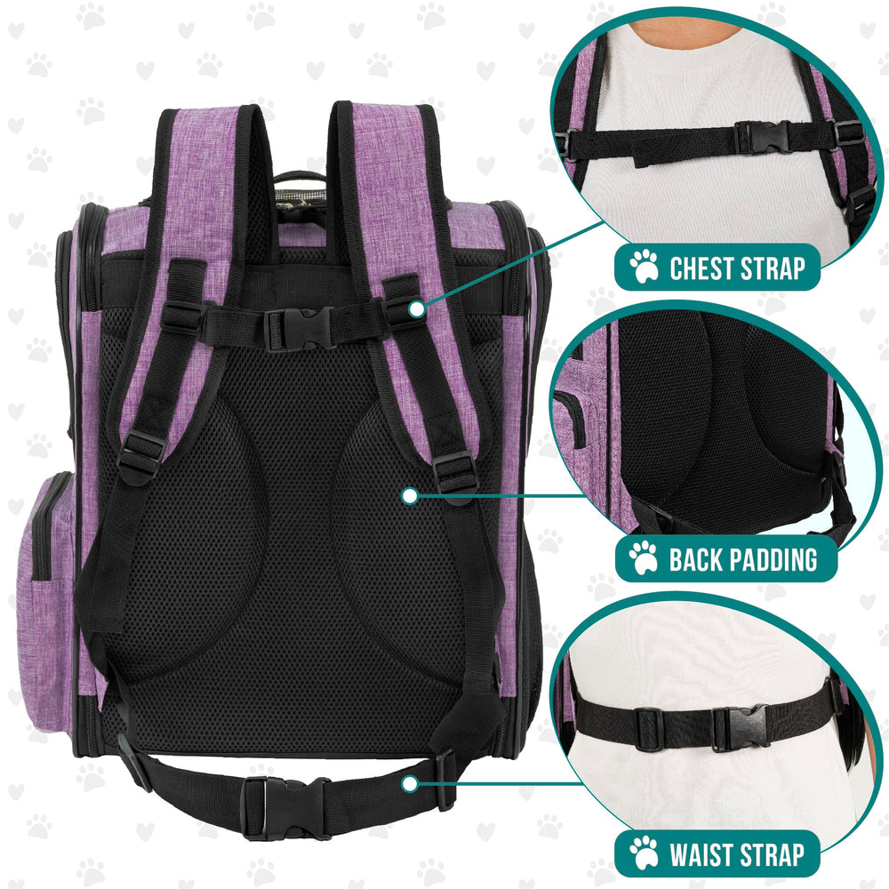 PetAmi padded back straps and chest buckle for comfortable carrying