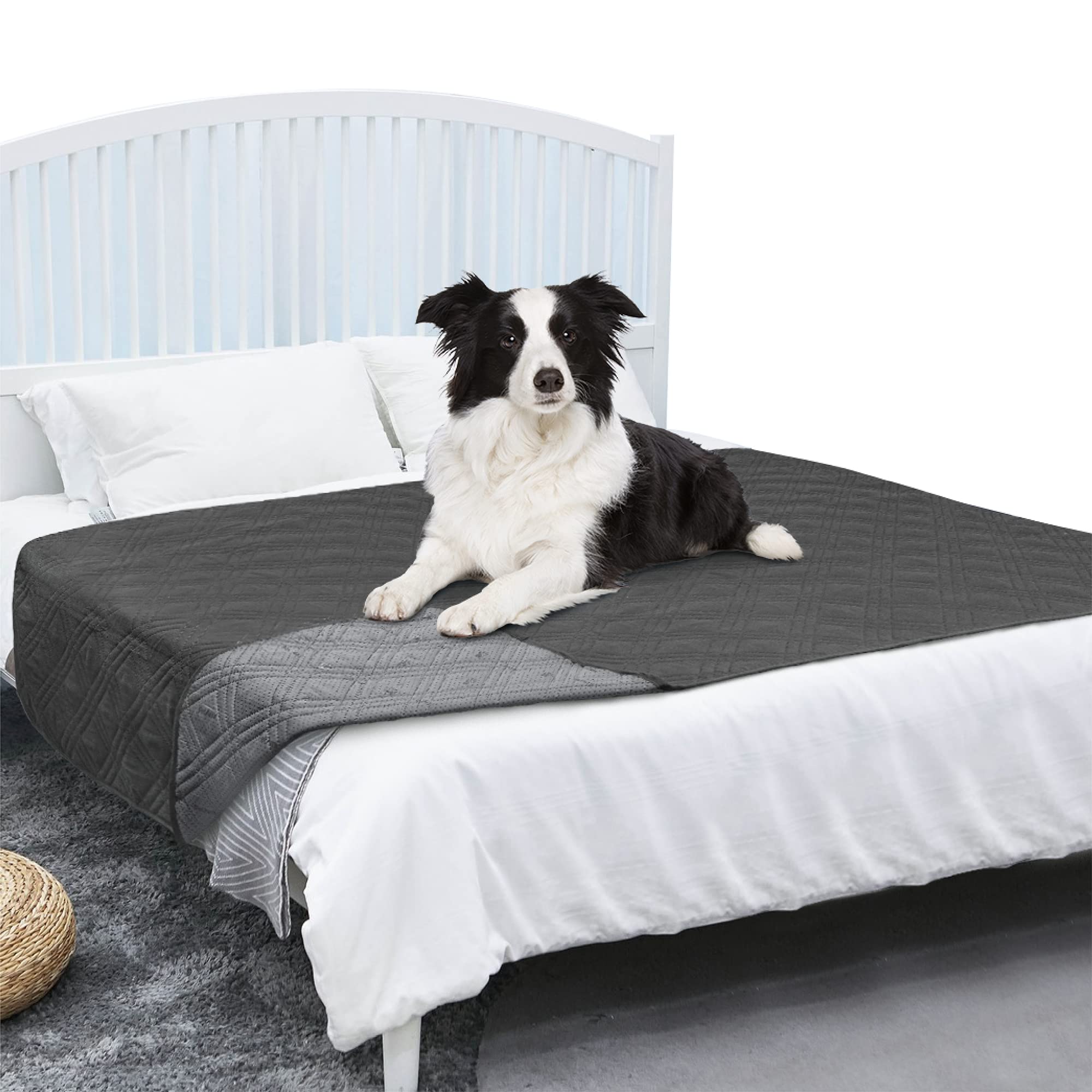 PetAmi gray cover with durable, pet-safe materials.