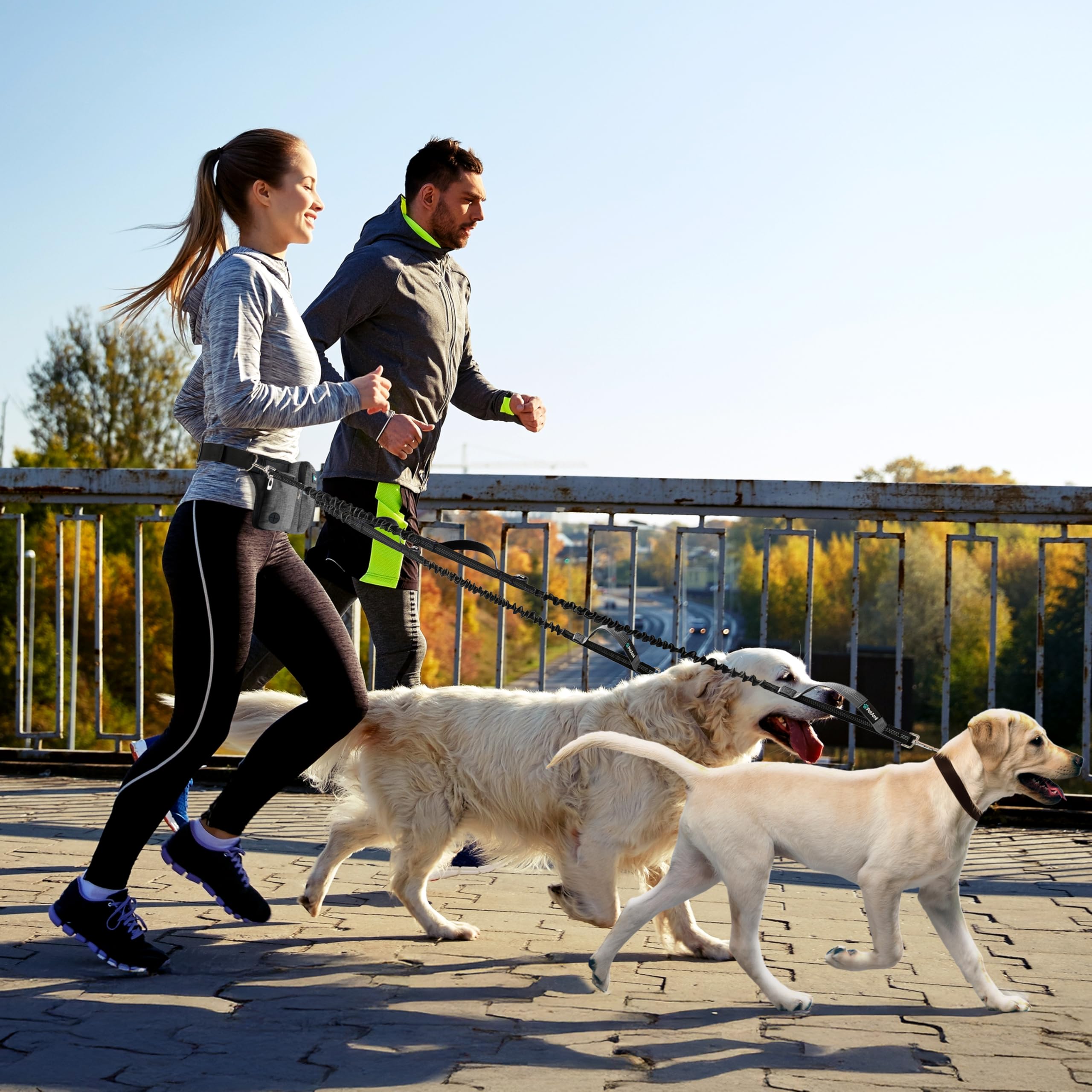 PetAmi premium hands-free dog leash dual-dog capacity supports active two-dog adventures