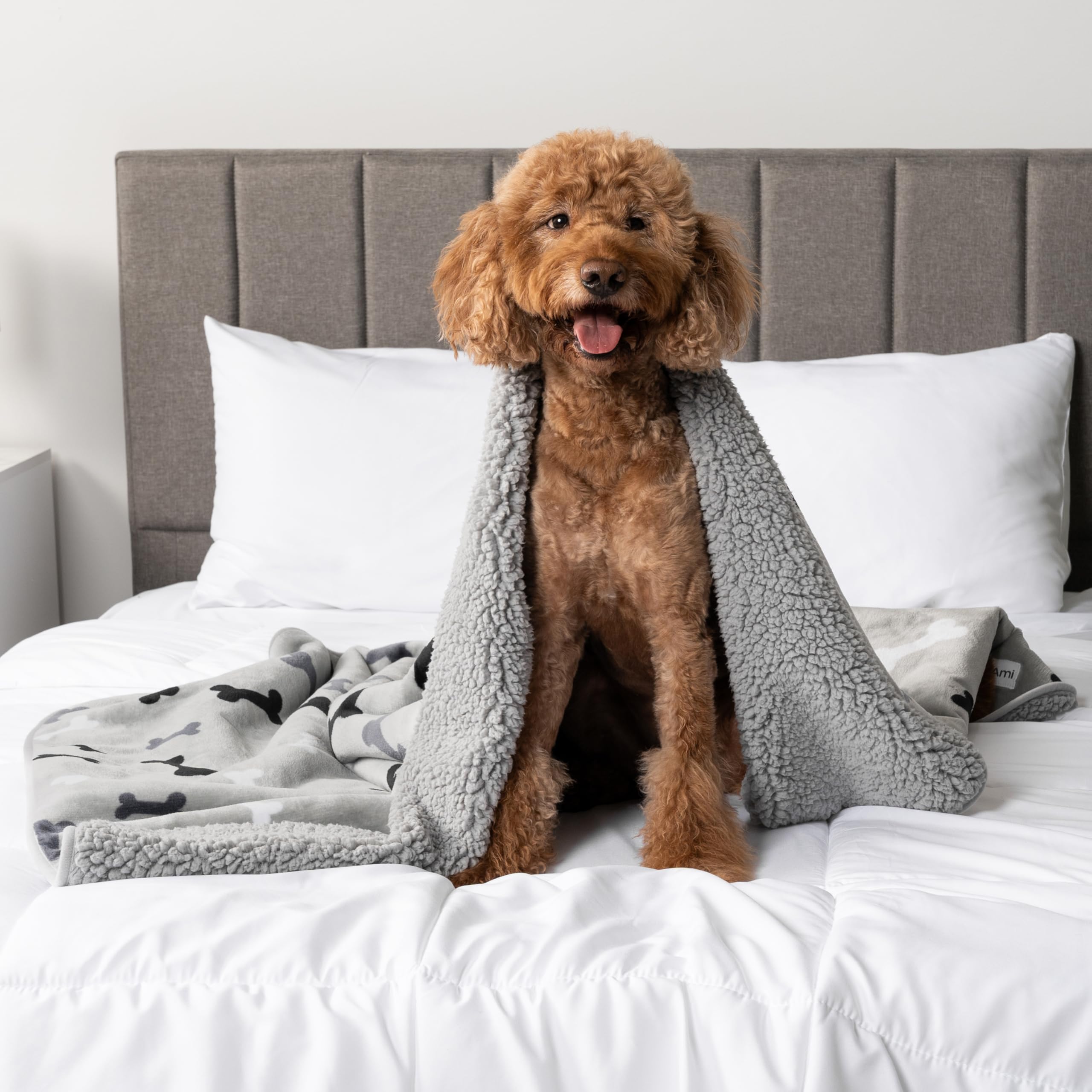 PetAmi large 40x60 blanket fits medium to large dogs.