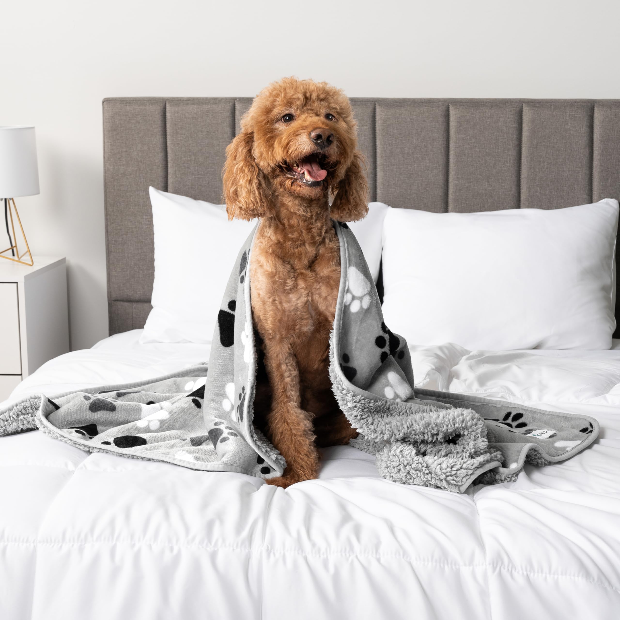 PetAmi puppy-kitten lounging blanket on couch for warm, protected lounging.