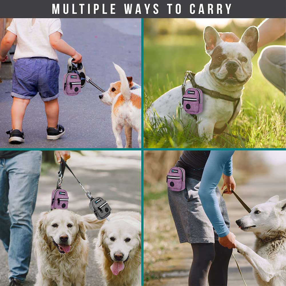 PetAmi purple waste bag dispenser on leash for quick bags.