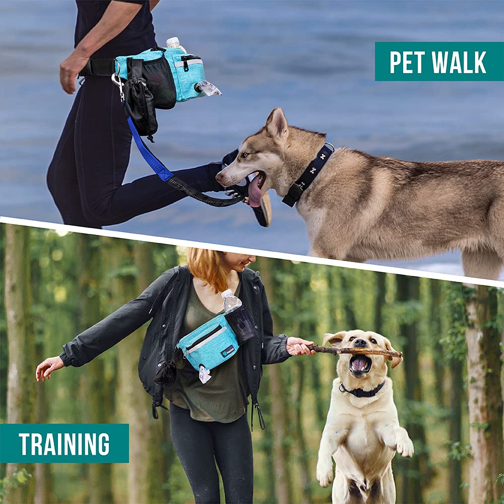 PetAmi reflective stitching boosts visibility for safe early morning or evening walks.