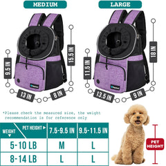 PetAmi carrier with reflective trim for safety during low-light activities.