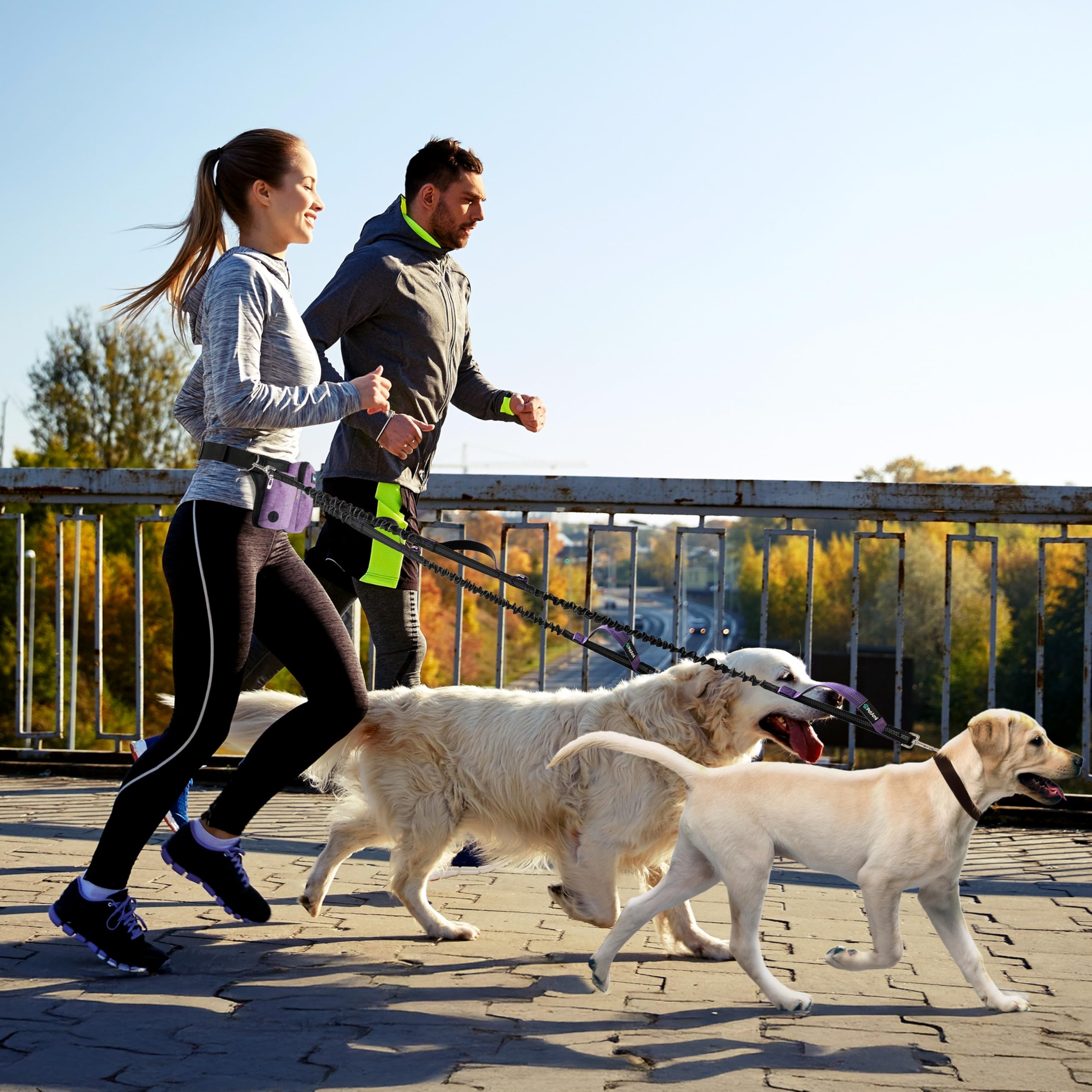PetAmi Water Bottle Pocket hydration on the go for long walks.