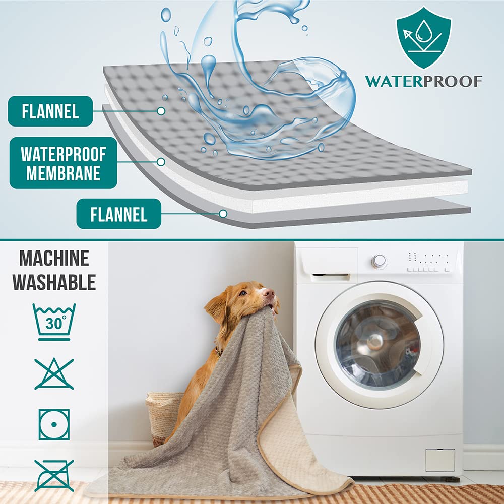 PetAmi blanket on bed and crate illustrates versatile protection for sleep spaces.