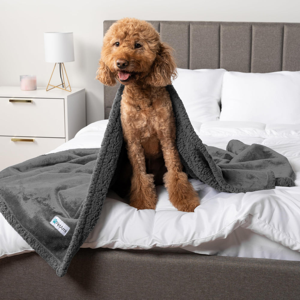 PetAmi car-blanket use keeps pet comfy and car interior clean