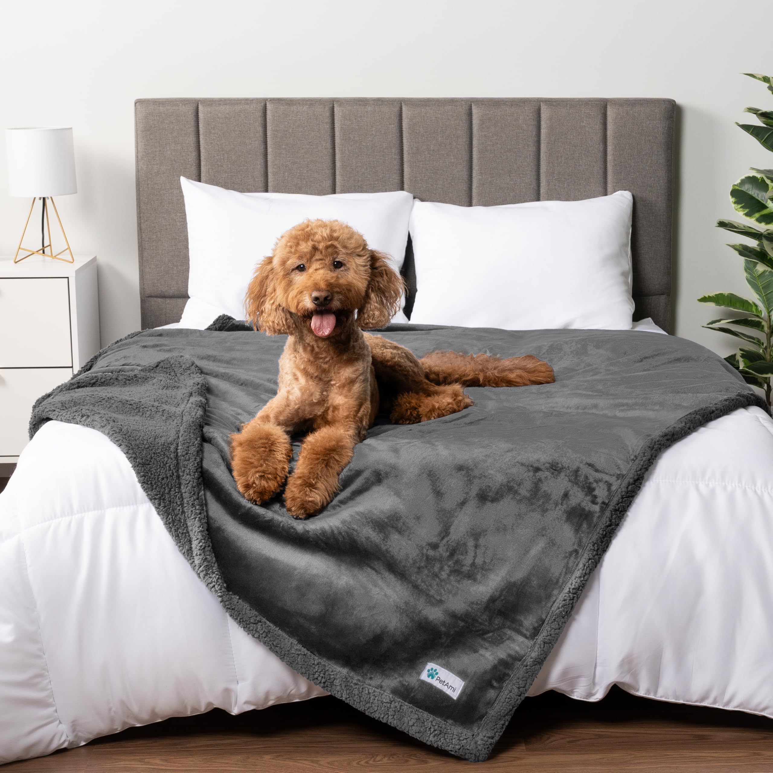 PetAmi waterproof dog blanket gray 90x90 on sofa protects furniture from spills