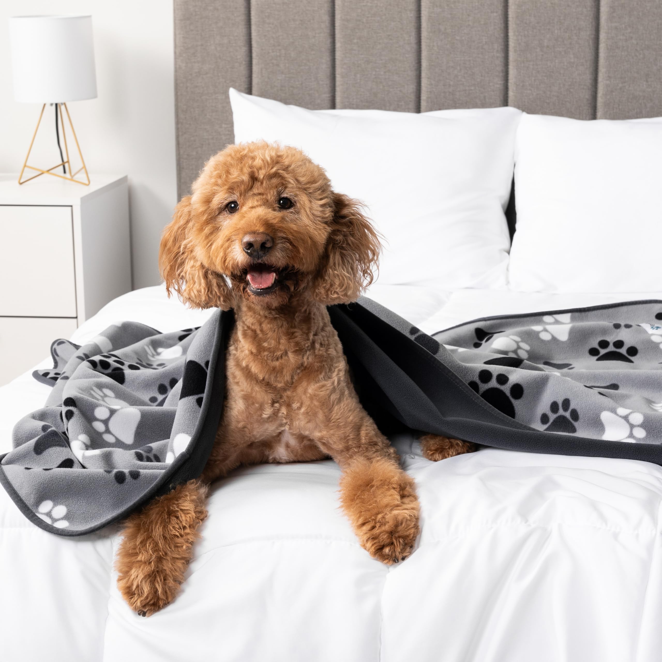 PetAmi waterproof pet blanket versatile for cats and dogs.