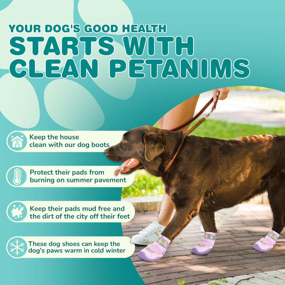 Petanims all-weather protection image highlighting winter snow and hot pavement shield