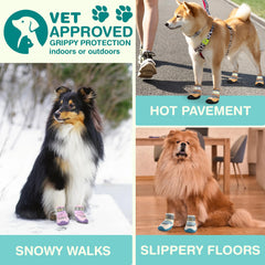 Petanims all-weather dog boots protecting paws from snow and heat