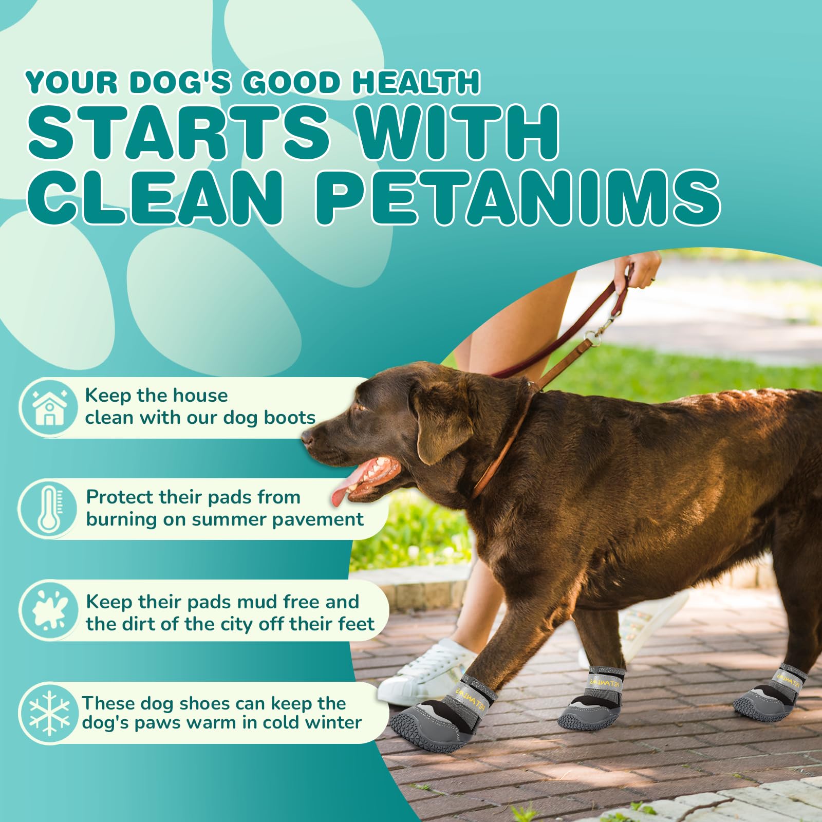 Petanims dog boots with reflective tape for safer nighttime visibility