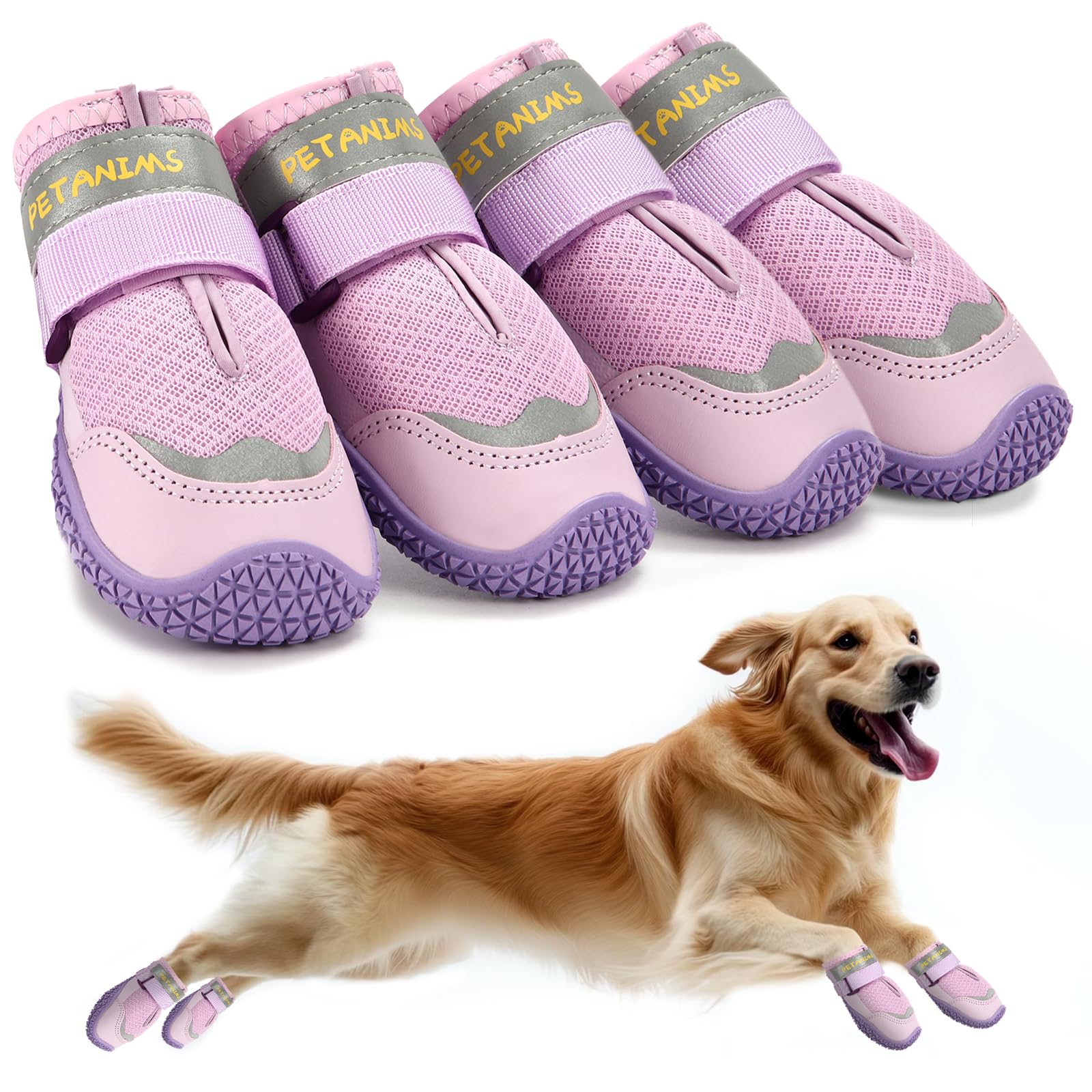 Petanims dog shoes size 5 on a large dog, showing precise width fit for comfort