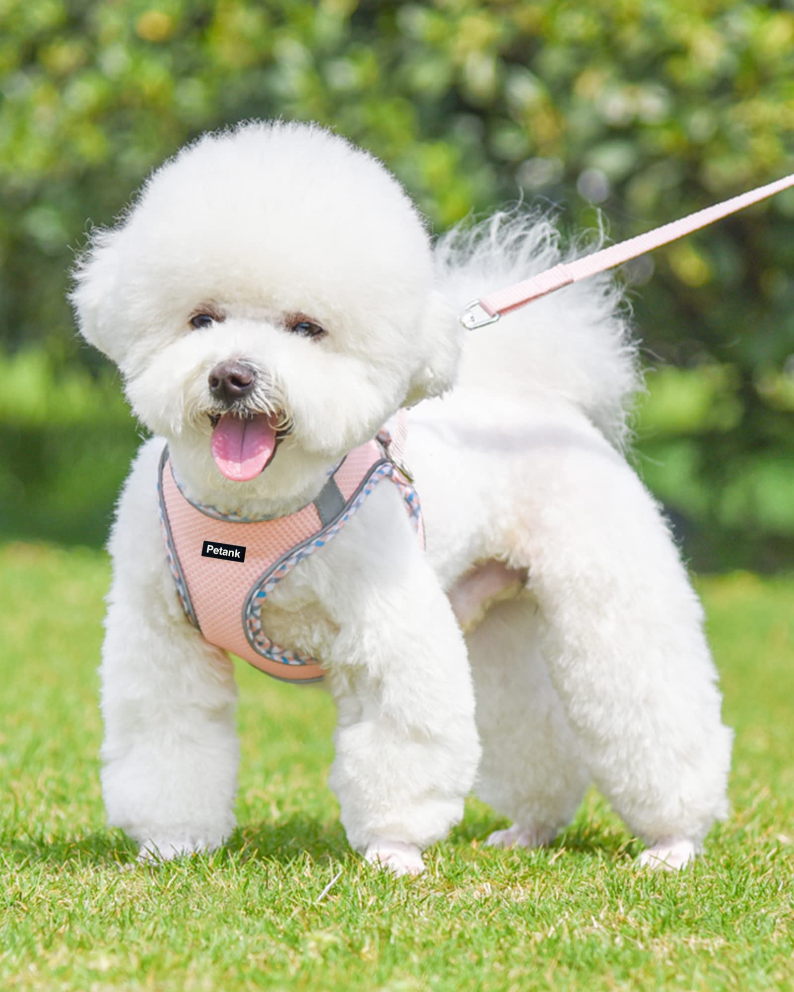 Petank Pink XXS no-pull harness aids gentle control during walks