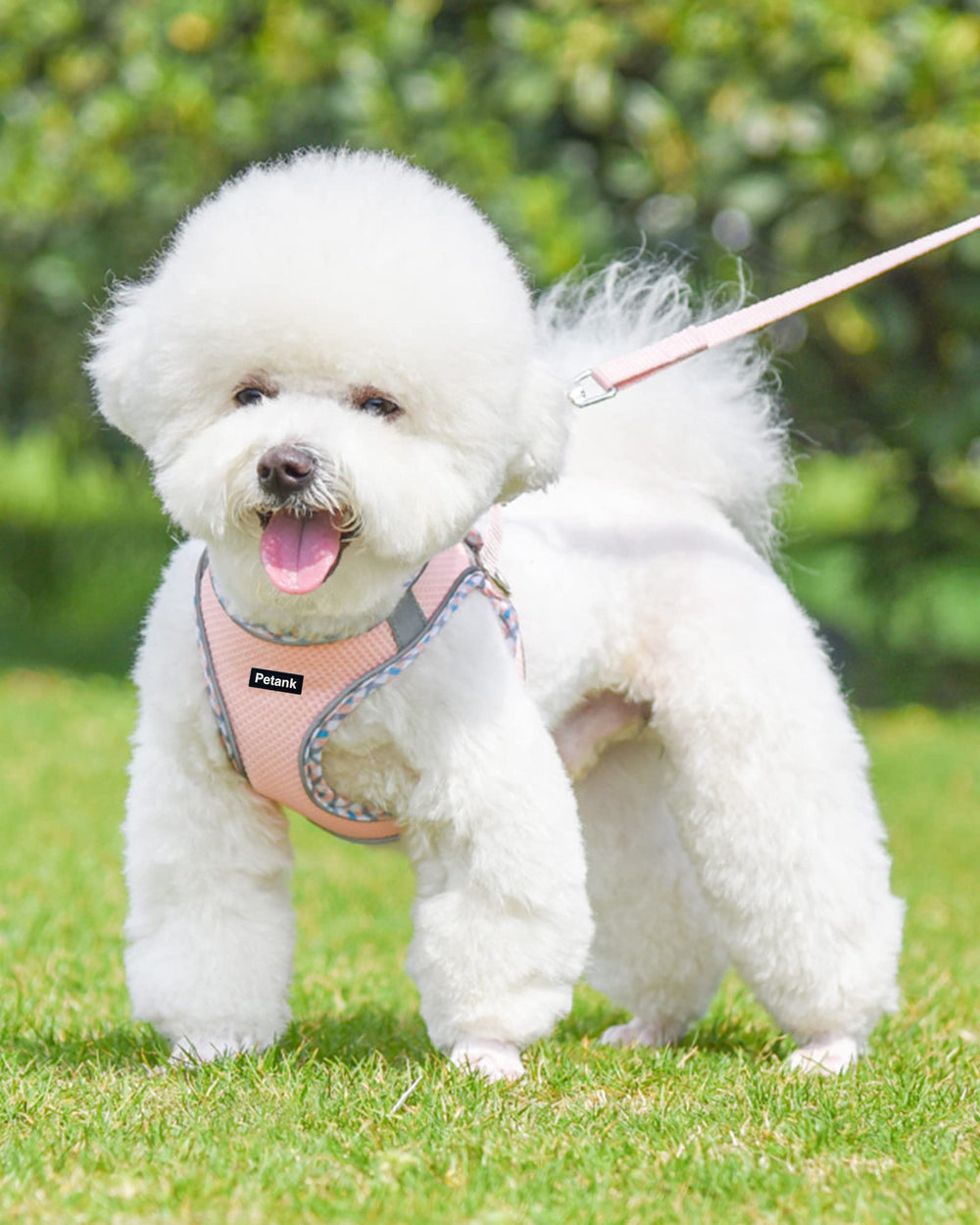 Petank Pink XXS no-pull harness aids gentle control during walks