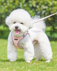 Petank Pink XXS no-pull harness aids gentle control during walks