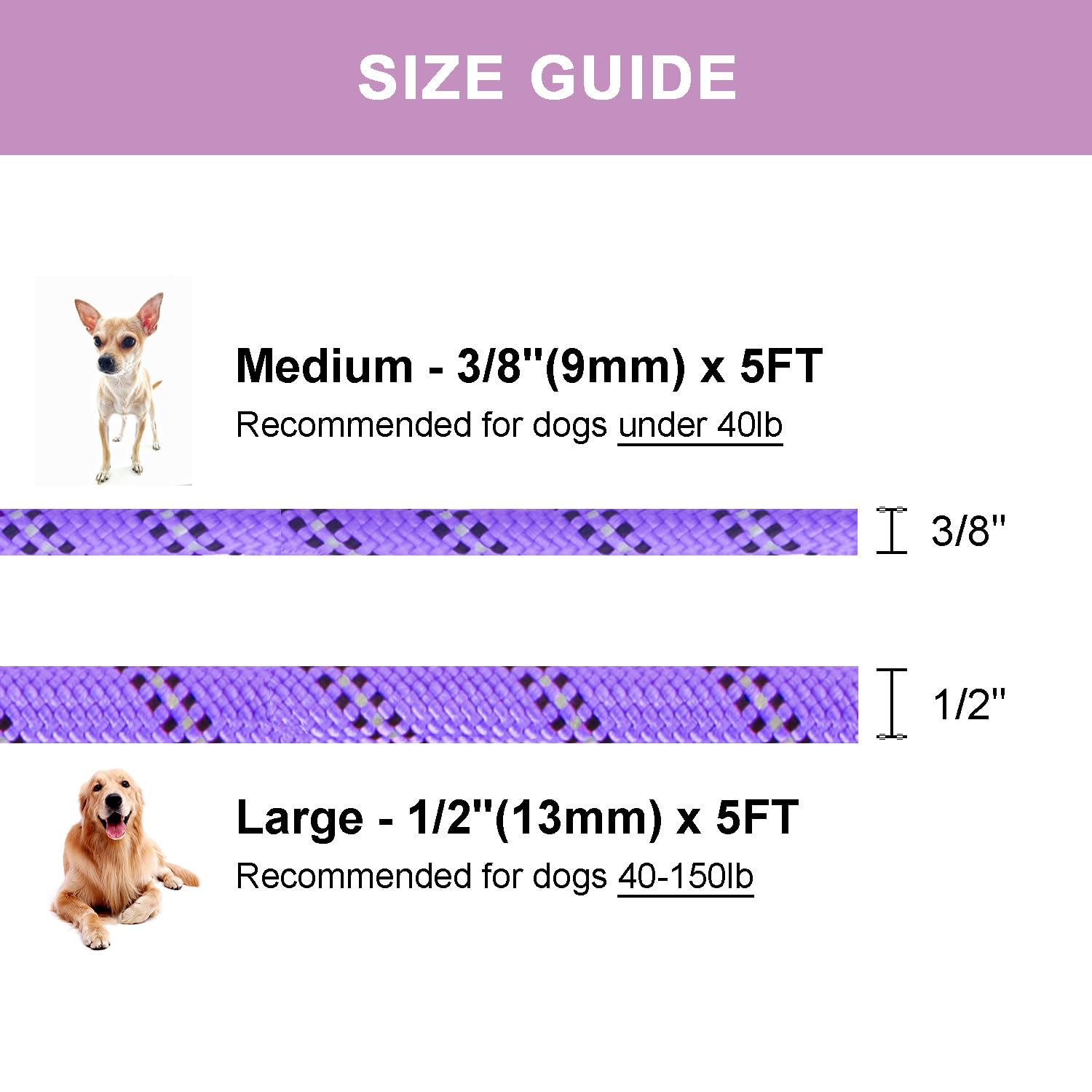 Petarea 5ft large-size leash offers balanced control and freedom during walks