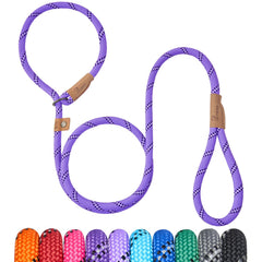 Petarea heavy-duty rope dog leash demonstrates no-pull training in action