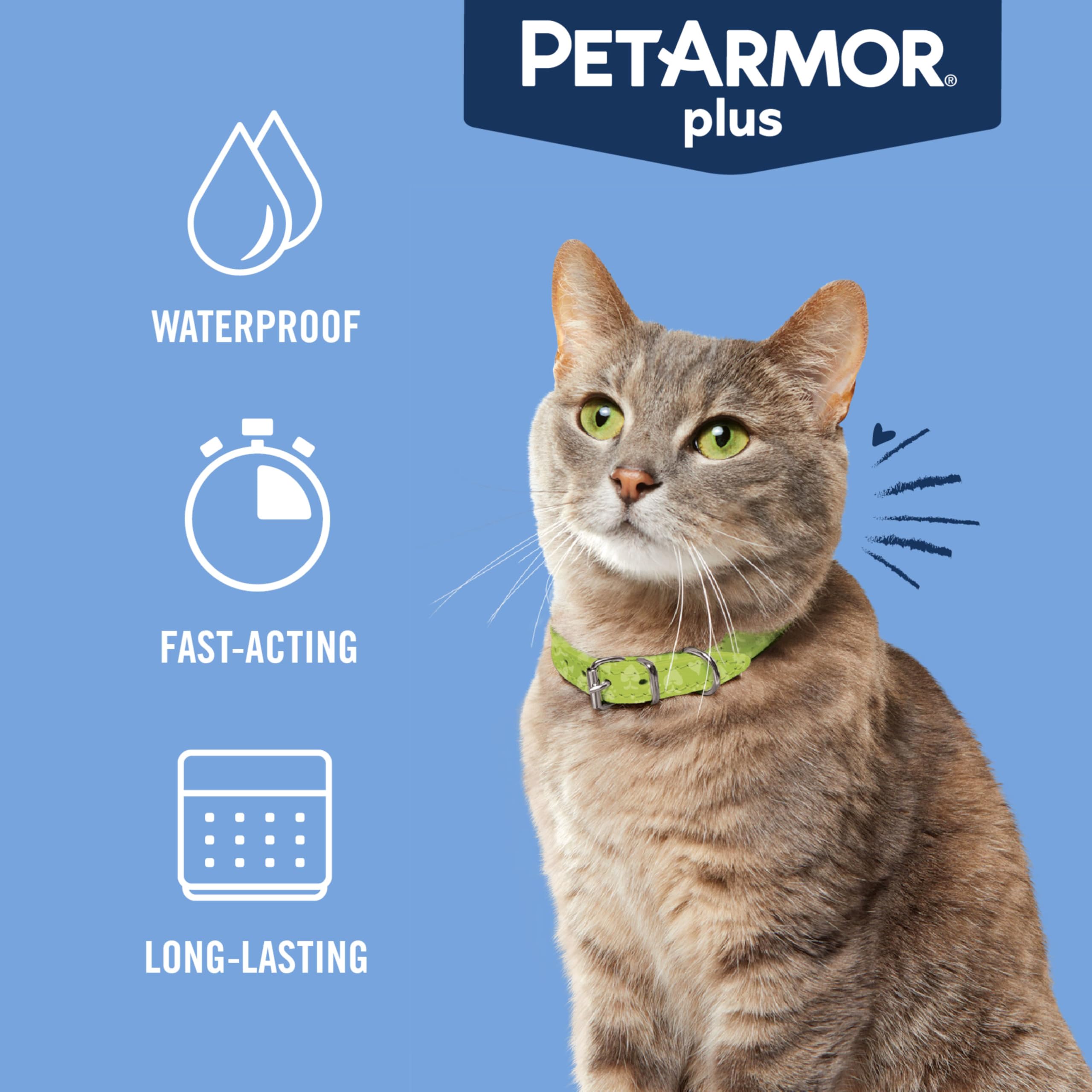 PetArmor Plus 30-day protection highlights monthly dosing for steady cat protection.