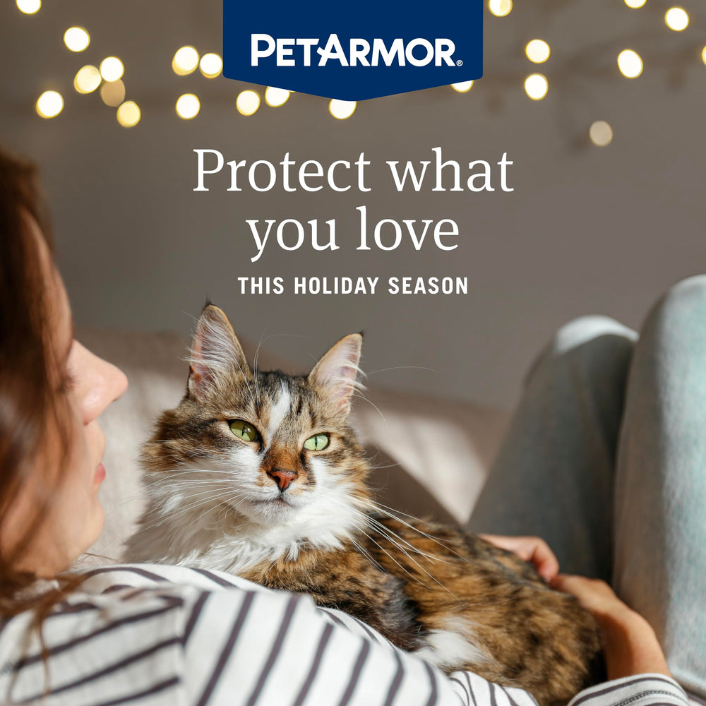 PetArmor Plus cat drops on fur closeup demonstrate fast-acting flea and tick relief.