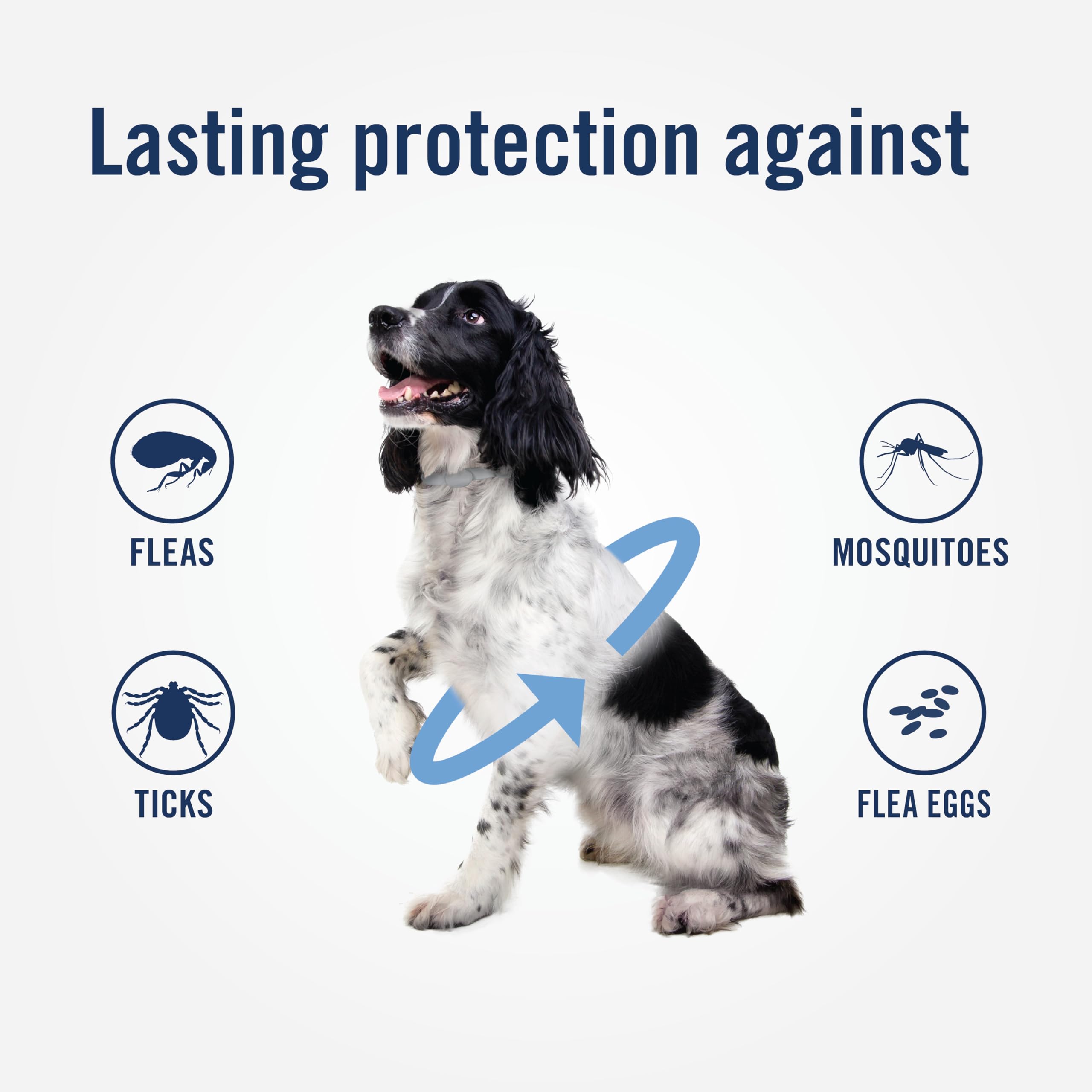 PetArmor Plus collar with easy three-step application guidance.