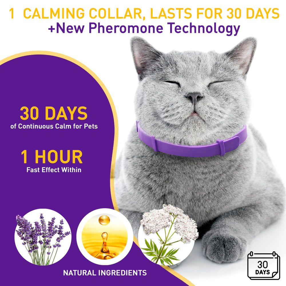 PetAtlas calming-collar-adjustable-length demonstrates easy size customization for a snug fit.