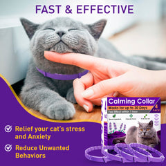 PetAtlas calming collar worn on a cat suggesting a soothing, relaxed posture.