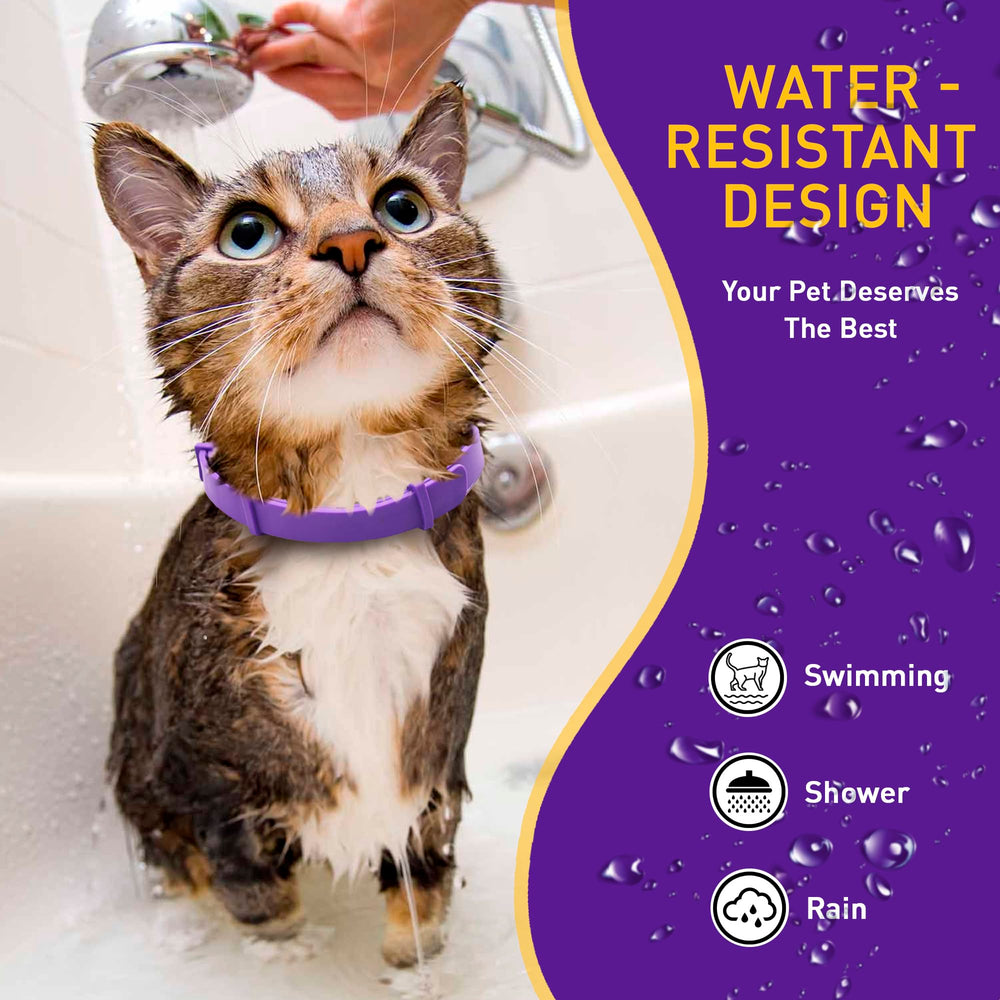 PetAtlas calming-collar-water-resistant design endures play and light splashes.