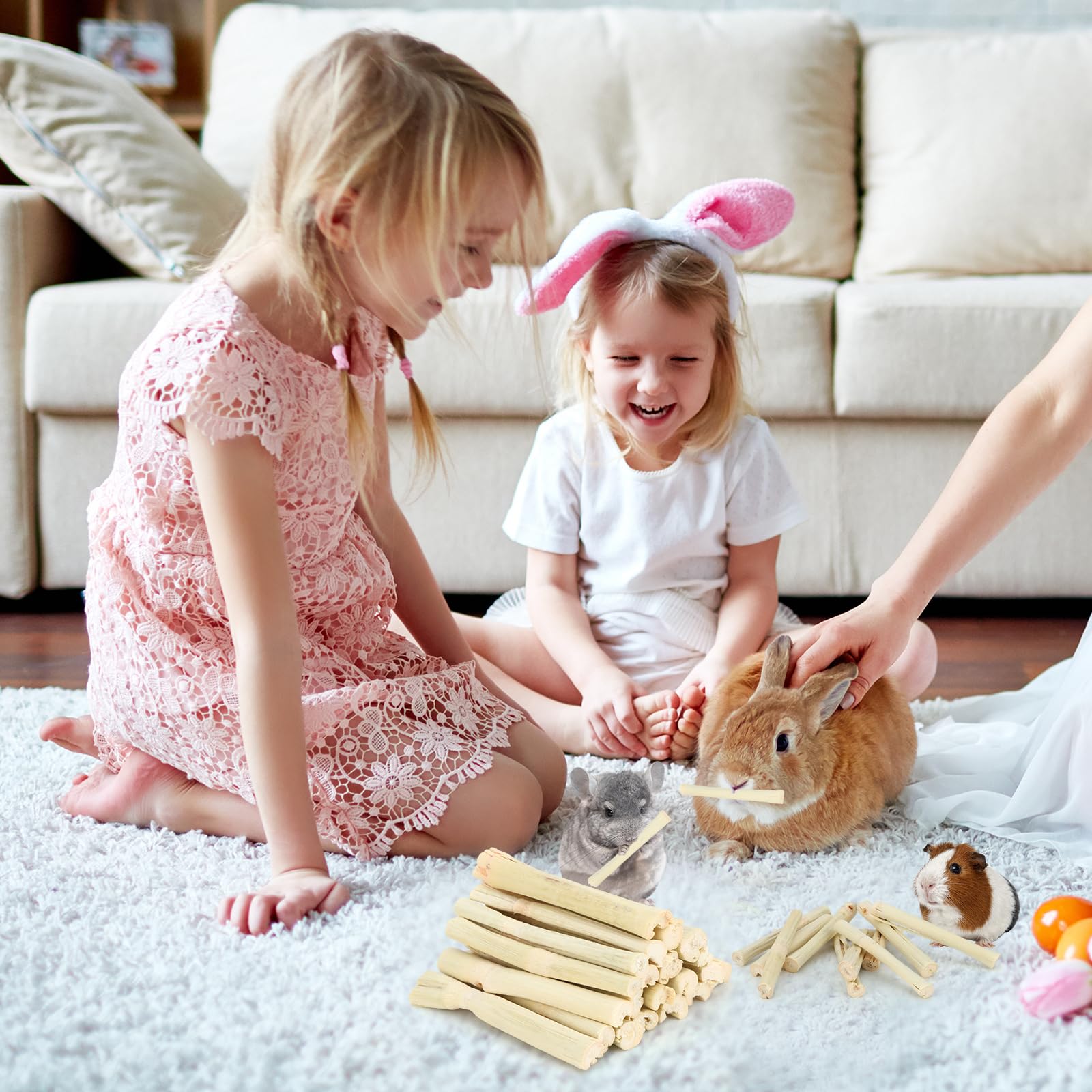 Petawi Sweet Bamboo Chew Sticks nutrition-focused sticks aid digestion