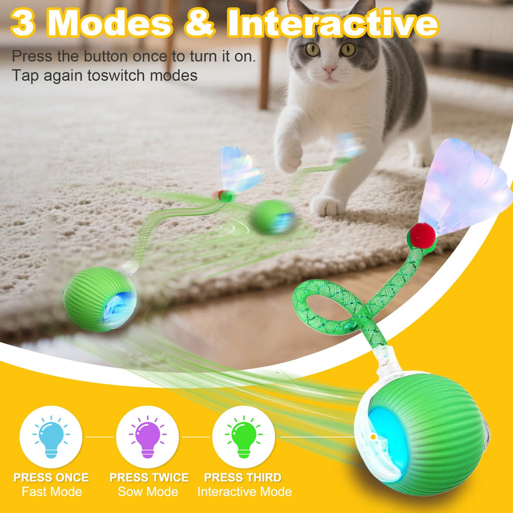 Petayouj cat toy with LED lights activates during motion for enhanced visibility.