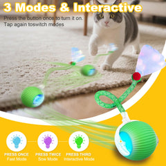 Petayouj cat toy with LED lights activates during motion for enhanced visibility.
