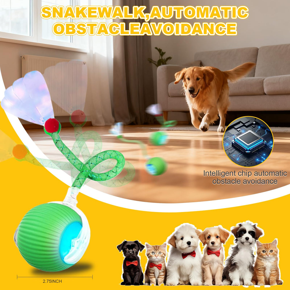 Petayouj silicone safe materials provide non-toxic durability during curious nibbles.