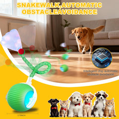 Petayouj silicone safe materials provide non-toxic durability during curious nibbles.