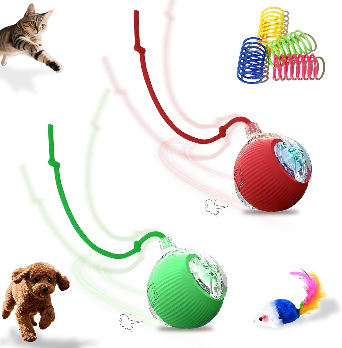 Petayouj interactive cat ball front view with LEDs for engaging chase