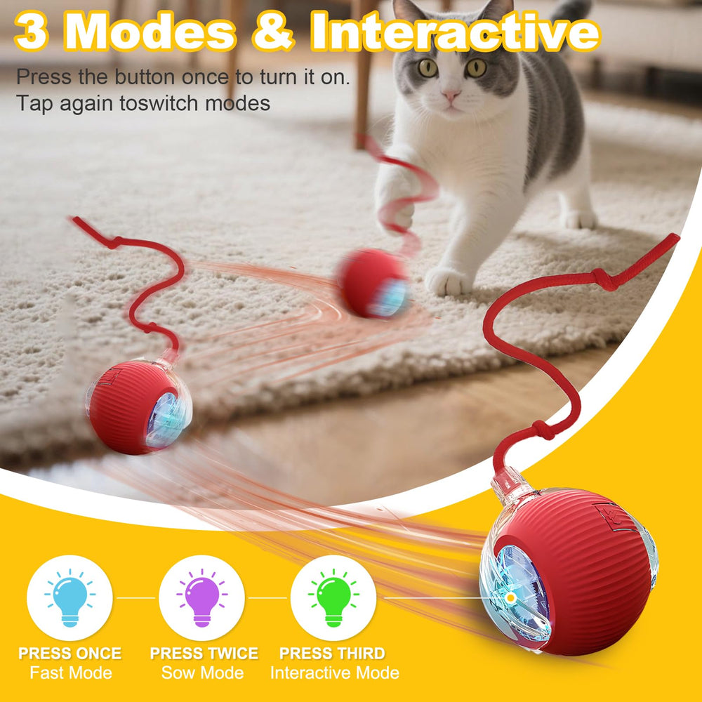 Petayouj LED lights highlight motion to engage curious felines during play