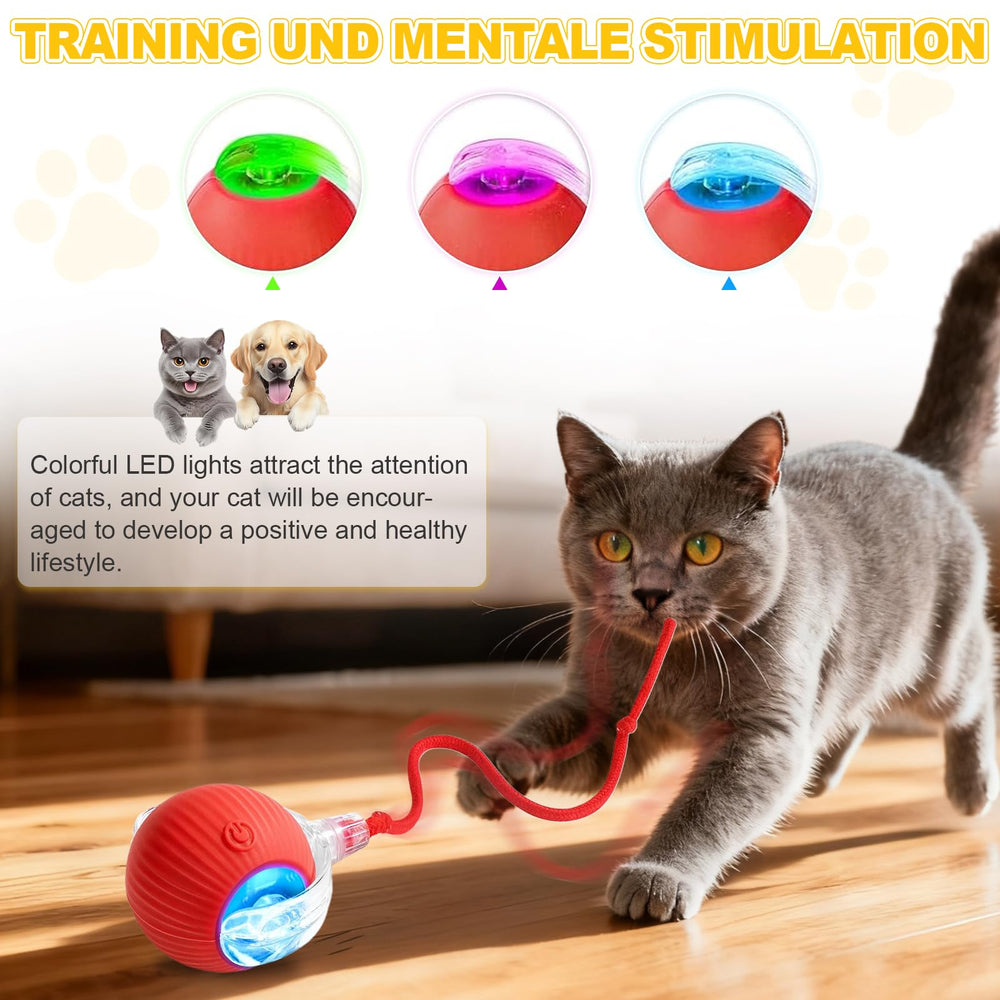 Petayouj obstacle-avoidance tech helps the ball glide smoothly around furniture during play.