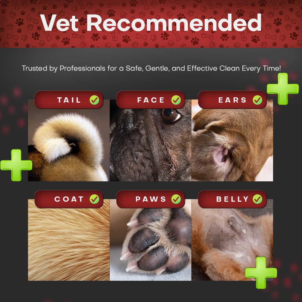 Petazy wipes for ears and facial folds during gentle hygiene.