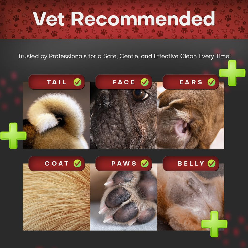 Petazy wipes for ears and facial folds during gentle hygiene.