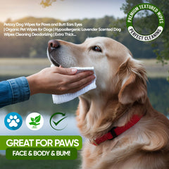 Petazy 400 dog wipes-face-ears-eyes for gentle face cleaning and ear care