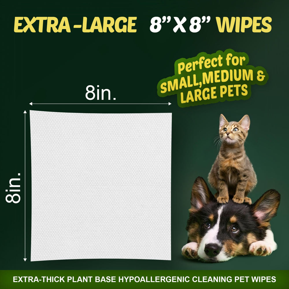Petazy 400 extra thick unscented wipes demonstrating durability