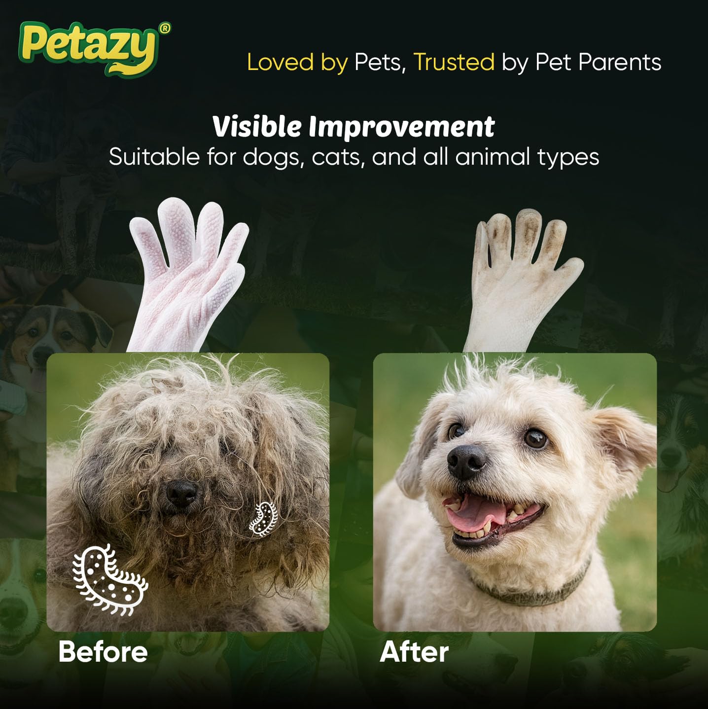 Petazy Pet Glove Wipes ears cleaning highlights safe, irritation-free care.